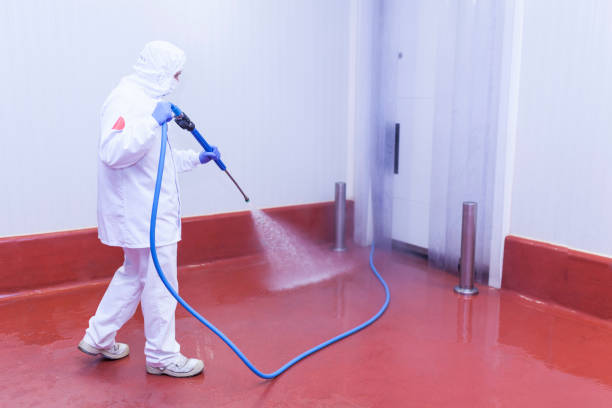 Best Concrete Sealing  in Ferry Pass, FL