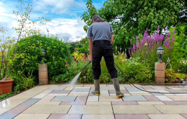 Best Driveway Pressure Washing  in Ferry Pass, FL