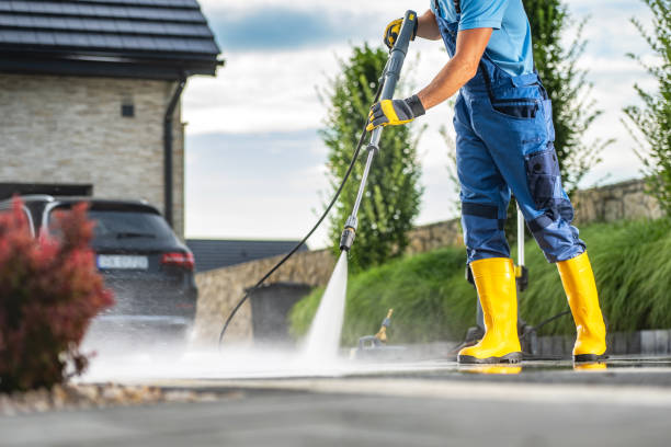 Best Solar Panel Cleaning  in Ferry Pass, FL
